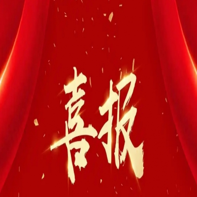 喜报！多多28-科技赋能场景,让娱乐更有趣。-pgdd成功中标陕投信丰能源2X1000MW机组工程第八批次辅机设备项目